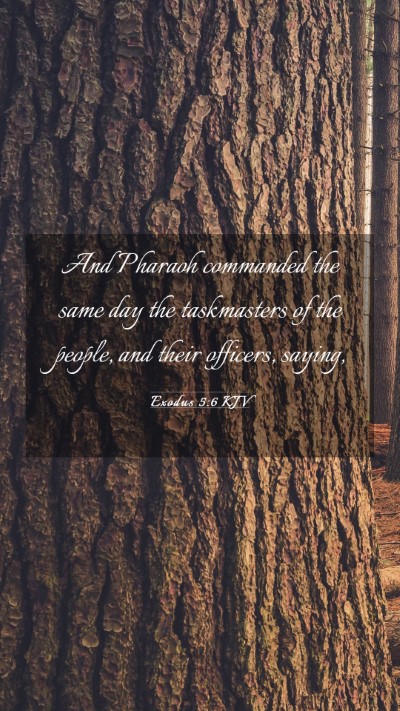 Picture 03 - Exodus 5:6 KJV Mobile Phone Wallpaper - And Pharaoh commanded the same day the - Mobile Bible Verse Wallpaper