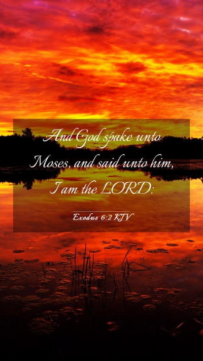 Picture 03 - Exodus 6:2 KJV Mobile Phone Wallpaper - And God spake unto Moses, and said unto him, I am - Mobile Bible Verse Wallpaper
