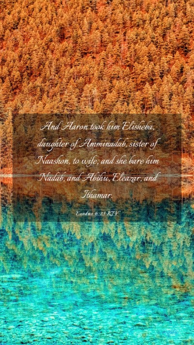 Picture 03 - Exodus 6:23 KJV Mobile Phone Wallpaper - And Aaron took him Elisheba, daughter of - Mobile Bible Verse Wallpaper