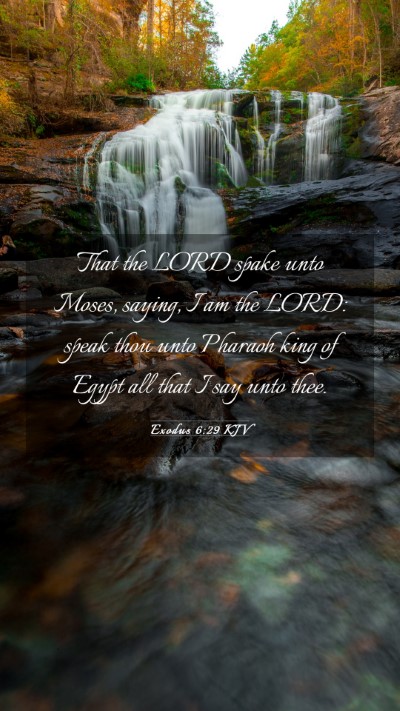 Picture 03 - Exodus 6:29 KJV Mobile Phone Wallpaper - That the LORD spake unto Moses, saying, I am the - Mobile Bible Verse Wallpaper