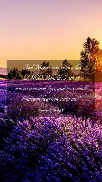 Picture 03 - Exodus 6:30 KJV Mobile Phone Wallpaper - And Moses said before the LORD, Behold, I am of - Mobile Bible Verse Wallpaper