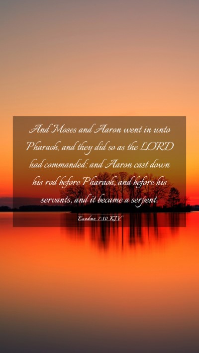 Picture 03 - Exodus 7:10 KJV Mobile Phone Wallpaper - And Moses and Aaron went in unto Pharaoh, and - Mobile Bible Verse Wallpaper