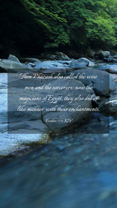Picture 03 - Exodus 7:11 KJV Mobile Phone Wallpaper - Then Pharaoh also called the wise men and the - Mobile Bible Verse Wallpaper
