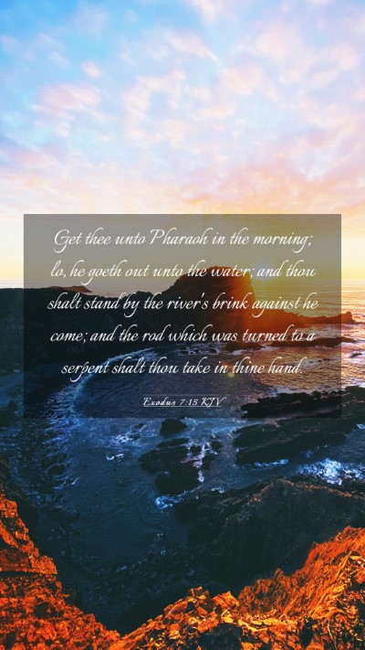 Picture 03 - Exodus 7:15 KJV Mobile Phone Wallpaper - Get thee unto Pharaoh in the morning; lo, he - Mobile Bible Verse Wallpaper
