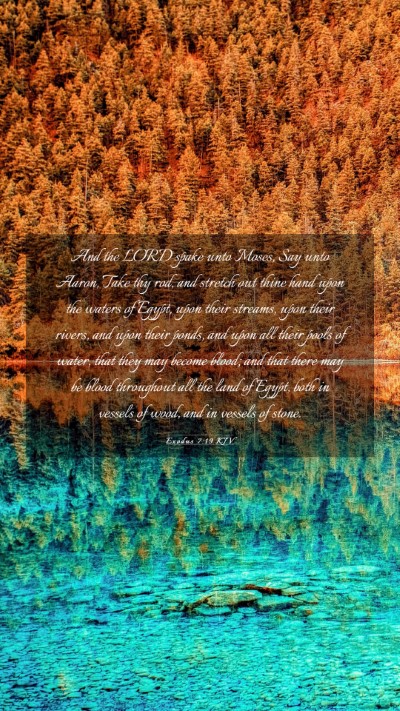 Picture 03 - Exodus 7:19 KJV Mobile Phone Wallpaper - And the LORD spake unto Moses, Say unto Aaron, - Mobile Bible Verse Wallpaper