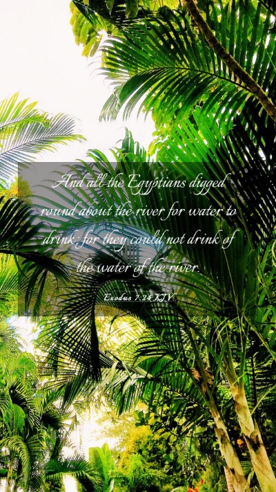 Picture 03 - Exodus 7:24 KJV Mobile Phone Wallpaper - And all the Egyptians digged round about the - Mobile Bible Verse Wallpaper