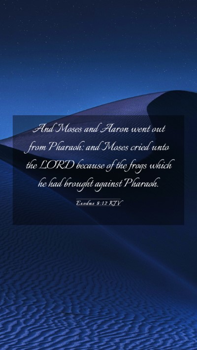 Picture 03 - Exodus 8:12 KJV Mobile Phone Wallpaper - And Moses and Aaron went out from Pharaoh: and - Mobile Bible Verse Wallpaper