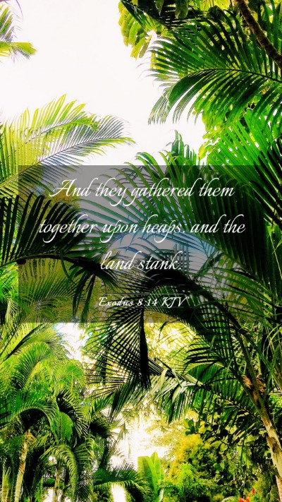 Picture 03 - Exodus 8:14 KJV Mobile Phone Wallpaper - And they gathered them together upon heaps: and - Mobile Bible Verse Wallpaper