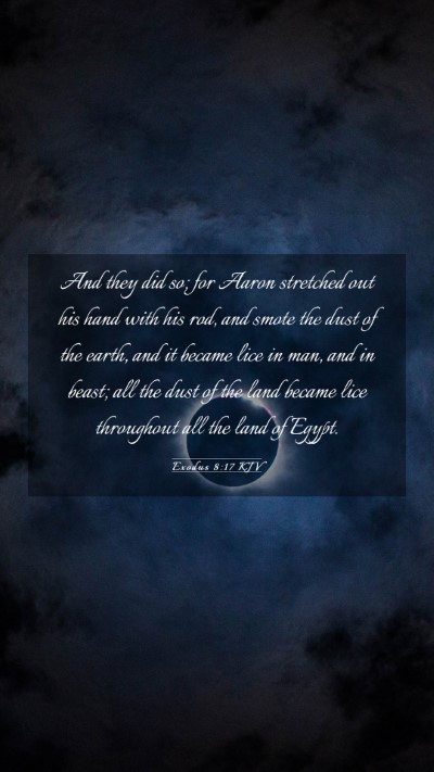 Picture 03 - Exodus 8:17 KJV Mobile Phone Wallpaper - And they did so; for Aaron stretched out his hand - Mobile Bible Verse Wallpaper