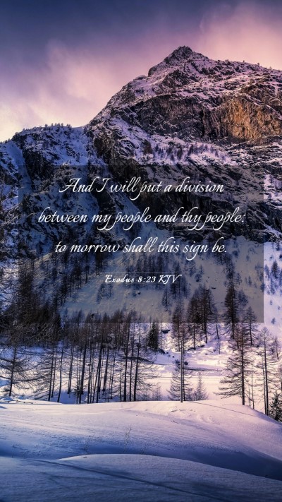 Picture 03 - Exodus 8:23 KJV Mobile Phone Wallpaper - And I will put a division between my people and - Mobile Bible Verse Wallpaper