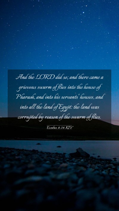 Picture 03 - Exodus 8:24 KJV Mobile Phone Wallpaper - And the LORD did so; and there came a grievous - Mobile Bible Verse Wallpaper