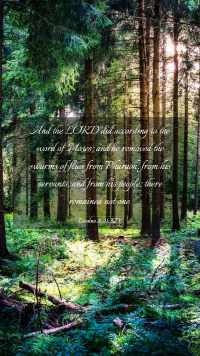 Picture 03 - Exodus 8:31 KJV Mobile Phone Wallpaper - And the LORD did according to the word of Moses; - Mobile Bible Verse Wallpaper