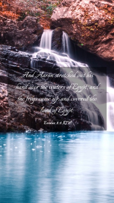 Picture 03 - Exodus 8:6 KJV Mobile Phone Wallpaper - And Aaron stretched out his hand over the waters - Mobile Bible Verse Wallpaper