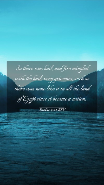 Picture 03 - Exodus 9:24 KJV Mobile Phone Wallpaper - So there was hail, and fire mingled with the - Mobile Bible Verse Wallpaper