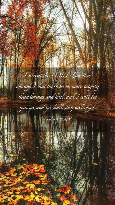 Picture 03 - Exodus 9:28 KJV Mobile Phone Wallpaper - Entreat the LORD (for it is enough) that there be - Mobile Bible Verse Wallpaper