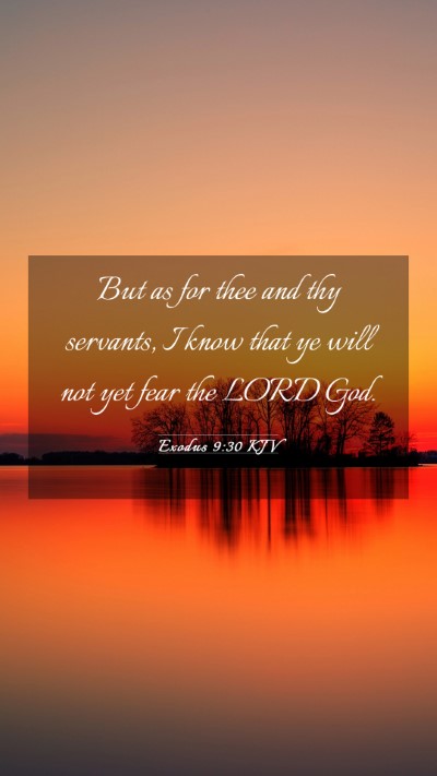 Picture 03 - Exodus 9:30 KJV Mobile Phone Wallpaper - But as for thee and thy servants, I know that ye - Mobile Bible Verse Wallpaper
