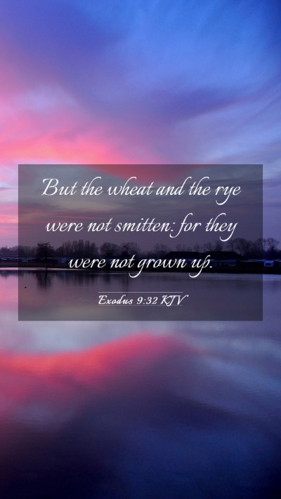 Picture 03 - Exodus 9:32 KJV Mobile Phone Wallpaper - But the wheat and the rye were not smitten: for - Mobile Bible Verse Wallpaper
