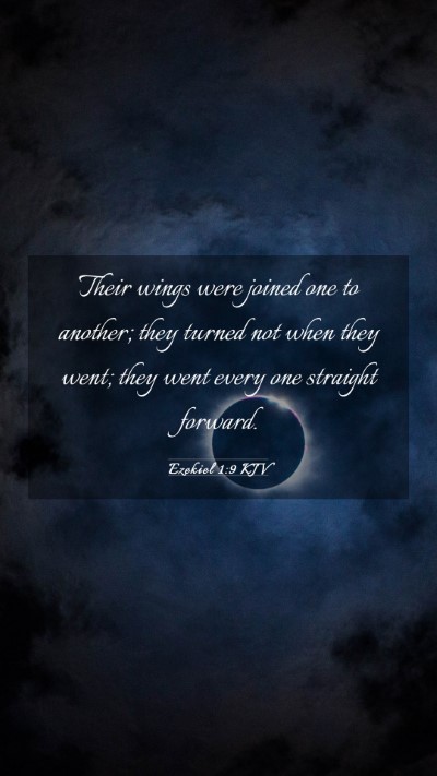 Picture 03 - Ezekiel 1:9 KJV Mobile Phone Wallpaper - Their wings were joined one to another; they - Mobile Bible Verse Wallpaper