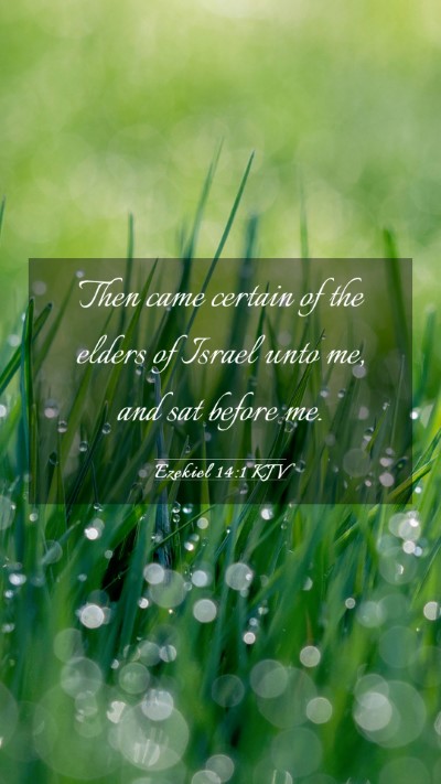 Picture 03 - Ezekiel 14:1 KJV Mobile Phone Wallpaper - Then came certain of the elders of Israel unto - Mobile Bible Verse Wallpaper