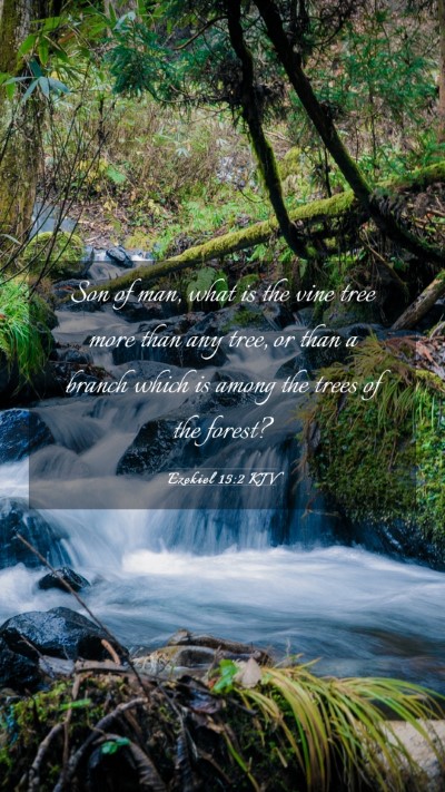 Picture 03 - Ezekiel 15:2 KJV Mobile Phone Wallpaper - Son of man, what is the vine tree more than any - Mobile Bible Verse Wallpaper