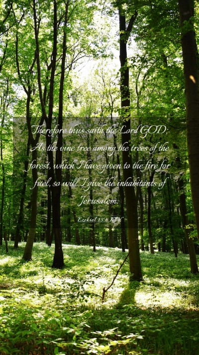 Picture 03 - Ezekiel 15:6 KJV Mobile Phone Wallpaper - Therefore thus saith the Lord GOD; As the vine - Mobile Bible Verse Wallpaper