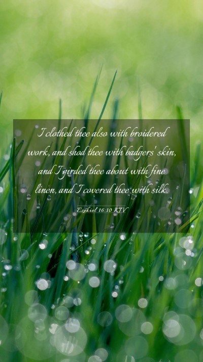 Picture 03 - Ezekiel 16:10 KJV Mobile Phone Wallpaper - I clothed thee also with broidered work, and shod - Mobile Bible Verse Wallpaper