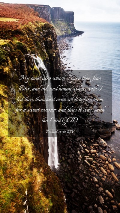 Picture 03 - Ezekiel 16:19 KJV Mobile Phone Wallpaper - My meat also which I gave thee, fine flour, and - Mobile Bible Verse Wallpaper