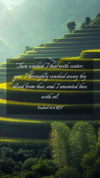 Picture 03 - Ezekiel 16:9 KJV Mobile Phone Wallpaper - Then washed I thee with water; yea, I throughly - Mobile Bible Verse Wallpaper