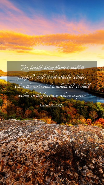 Picture 03 - Ezekiel 17:10 KJV Mobile Phone Wallpaper - Yea, behold, being planted, shall it prosper? - Mobile Bible Verse Wallpaper