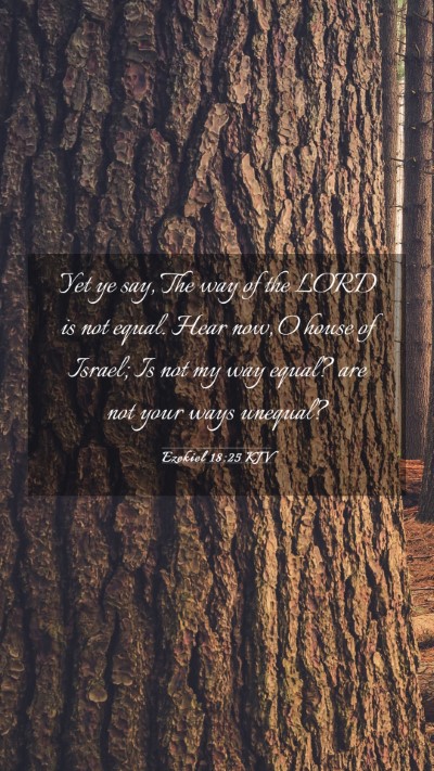 Picture 03 - Ezekiel 18:25 KJV Mobile Phone Wallpaper - Yet ye say, The way of the LORD is not equal. - Mobile Bible Verse Wallpaper