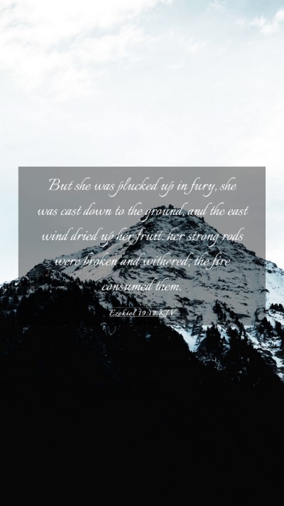 Picture 03 - Ezekiel 19:12 KJV Mobile Phone Wallpaper - But she was plucked up in fury, she was cast down - Mobile Bible Verse Wallpaper