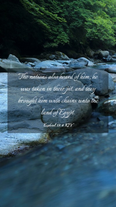 Picture 03 - Ezekiel 19:4 KJV Mobile Phone Wallpaper - The nations also heard of him; he was taken in - Mobile Bible Verse Wallpaper