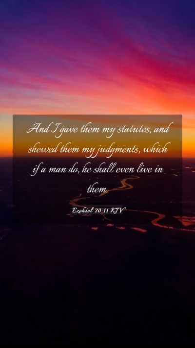 Picture 03 - Ezekiel 20:11 KJV Mobile Phone Wallpaper - And I gave them my statutes, and shewed them my - Mobile Bible Verse Wallpaper