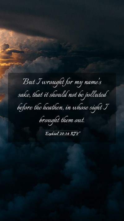 Picture 03 - Ezekiel 20:14 KJV Mobile Phone Wallpaper - But I wrought for my name's sake, that it should - Mobile Bible Verse Wallpaper