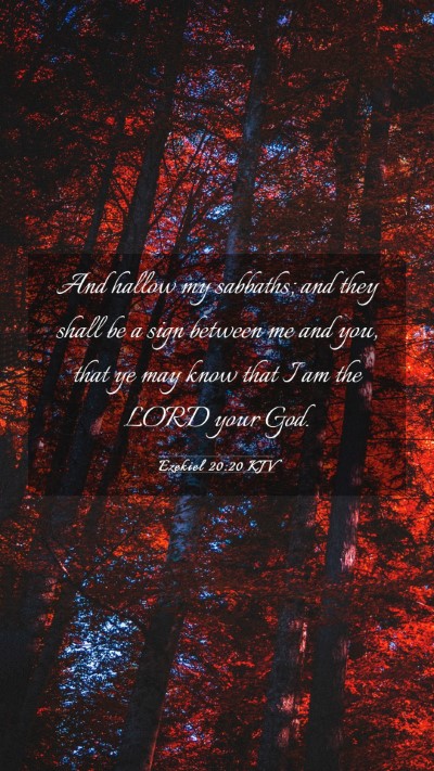 Picture 03 - Ezekiel 20:20 KJV Mobile Phone Wallpaper - And hallow my sabbaths; and they shall be a sign - Mobile Bible Verse Wallpaper