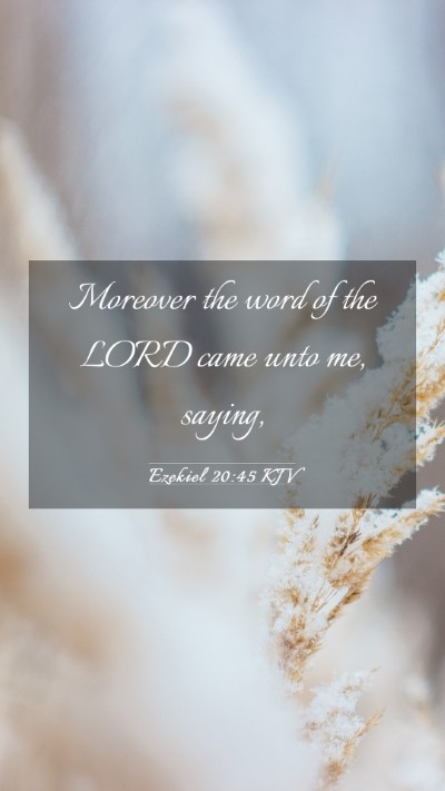 Picture 03 - Ezekiel 20:45 KJV Mobile Phone Wallpaper - Moreover the word of the LORD came unto me, - Mobile Bible Verse Wallpaper