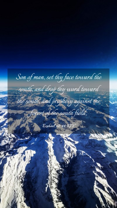 Picture 03 - Ezekiel 20:46 KJV Mobile Phone Wallpaper - Son of man, set thy face toward the south, and - Mobile Bible Verse Wallpaper