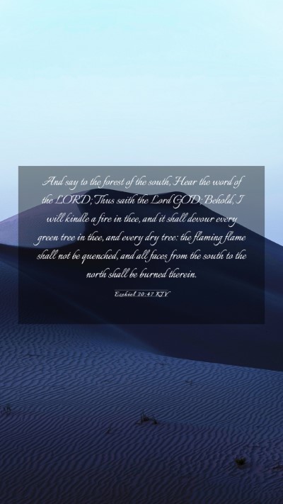 Picture 03 - Ezekiel 20:47 KJV Mobile Phone Wallpaper - And say to the forest of the south, Hear the word - Mobile Bible Verse Wallpaper