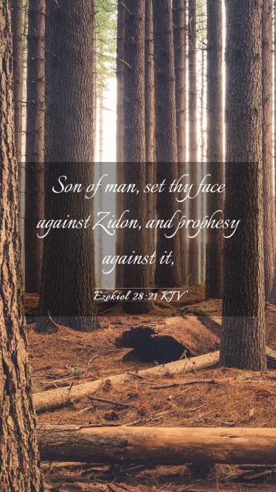 Picture 03 - Ezekiel 28:21 KJV Mobile Phone Wallpaper - Son of man, set thy face against Zidon, and - Mobile Bible Verse Wallpaper