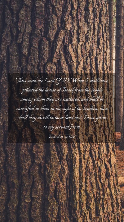 Picture 03 - Ezekiel 28:25 KJV Mobile Phone Wallpaper - Thus saith the Lord GOD; When I shall have - Mobile Bible Verse Wallpaper