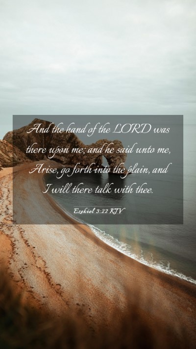 Picture 03 - Ezekiel 3:22 KJV Mobile Phone Wallpaper - And the hand of the LORD was there upon me; and - Mobile Bible Verse Wallpaper