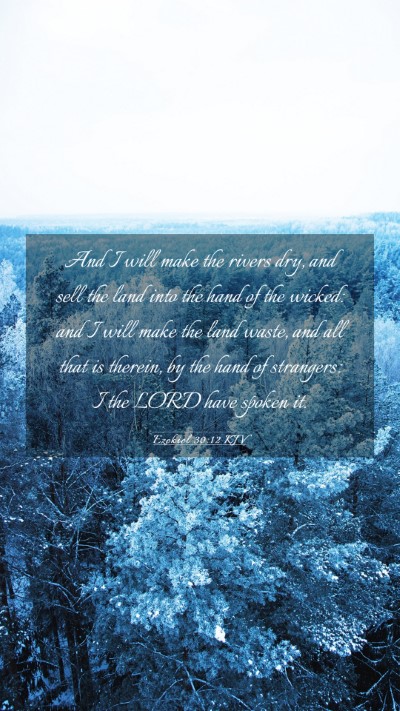 Picture 03 - Ezekiel 30:12 KJV Mobile Phone Wallpaper - And I will make the rivers dry, and sell the land - Mobile Bible Verse Wallpaper