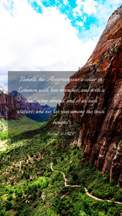 Picture 03 - Ezekiel 31:3 KJV Mobile Phone Wallpaper - Behold, the Assyrian was a cedar in Lebanon with - Mobile Bible Verse Wallpaper