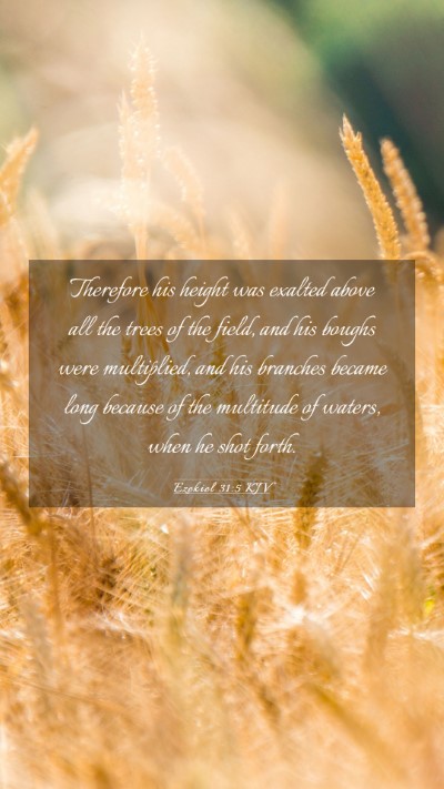 Picture 03 - Ezekiel 31:5 KJV Mobile Phone Wallpaper - Therefore his height was exalted above all the - Mobile Bible Verse Wallpaper