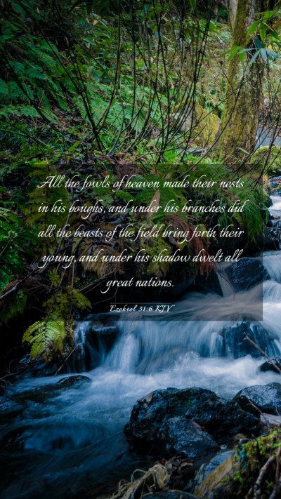 Picture 03 - Ezekiel 31:6 KJV Mobile Phone Wallpaper - All the fowls of heaven made their nests in his - Mobile Bible Verse Wallpaper