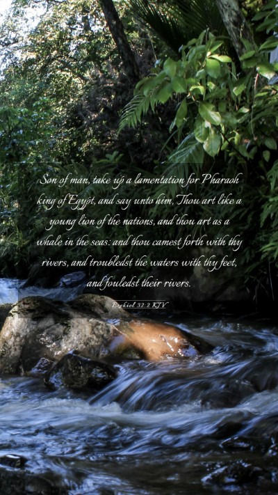 Picture 03 - Ezekiel 32:2 KJV Mobile Phone Wallpaper - Son of man, take up a lamentation for Pharaoh - Mobile Bible Verse Wallpaper