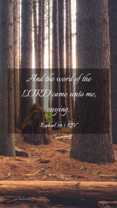 Picture 03 - Ezekiel 34:1 KJV Mobile Phone Wallpaper - And the word of the LORD came unto me, - Mobile Bible Verse Wallpaper