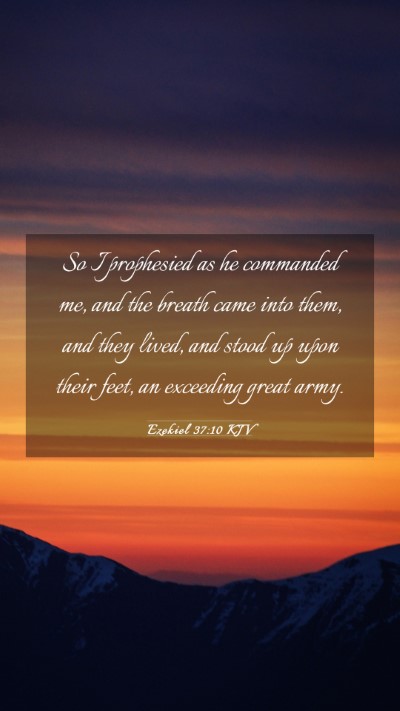 Picture 03 - Ezekiel 37:10 KJV Mobile Phone Wallpaper - So I prophesied as he commanded me, and the - Mobile Bible Verse Wallpaper