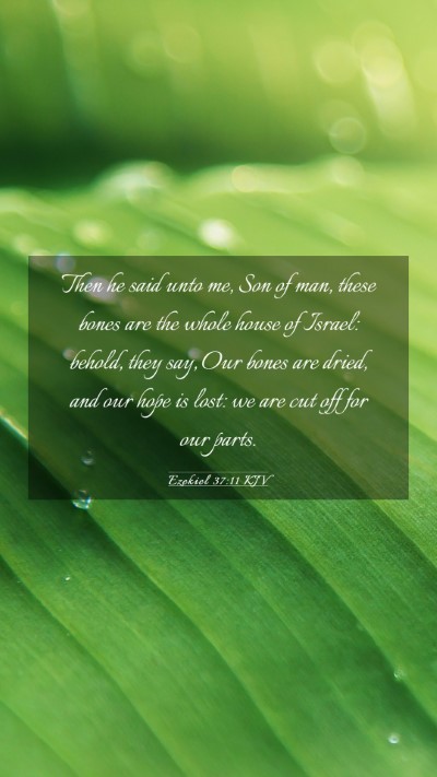 Picture 03 - Ezekiel 37:11 KJV Mobile Phone Wallpaper - Then he said unto me, Son of man, these bones are - Mobile Bible Verse Wallpaper
