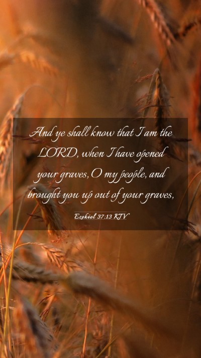 Picture 03 - Ezekiel 37:13 KJV Mobile Phone Wallpaper - And ye shall know that I am the LORD, when I have - Mobile Bible Verse Wallpaper